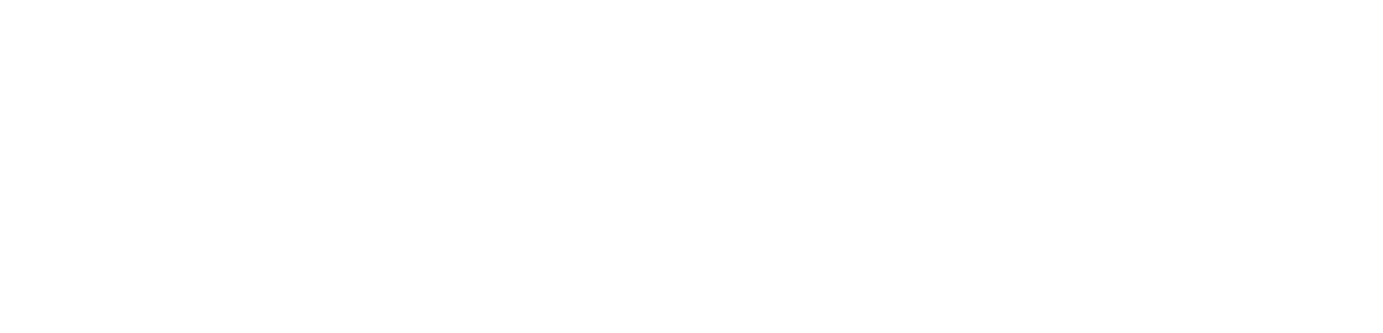 Boomer Logo